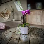 Anrena Forest 아파트