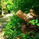 아파트 Anrena Forest