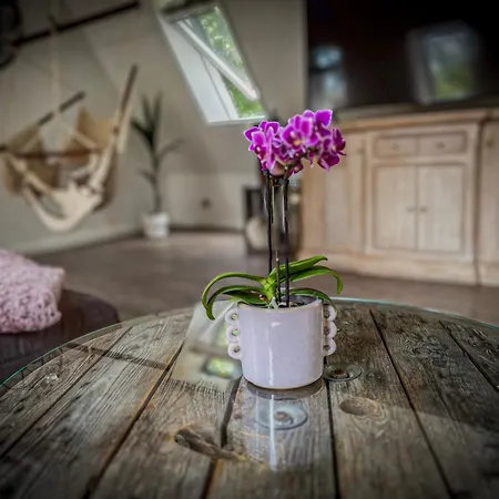 Anrena Forest Apartment