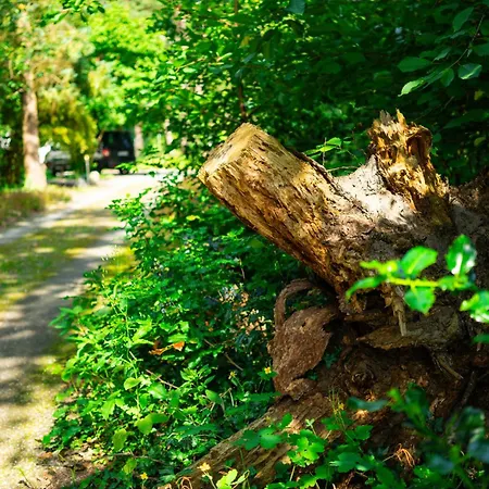 Apartamento Anrena Forest