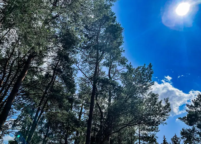 Anrena Forest شقة Vossmoor